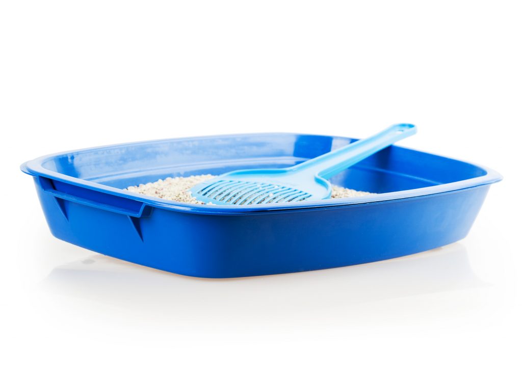 How Much Litter to Put in the Litter Box Whiskerful Life