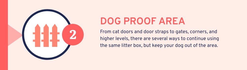 #2 way to stop dog eating cat poop