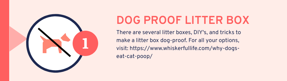 #1 reason dogs eat cat poop