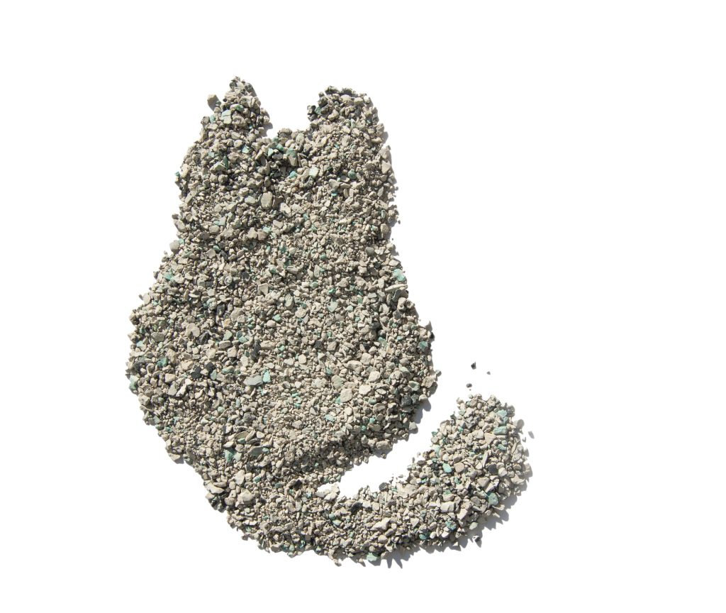 Litter Genie vs Litter Genie Plus (vs Litter Genie XL) Whiskerful Life