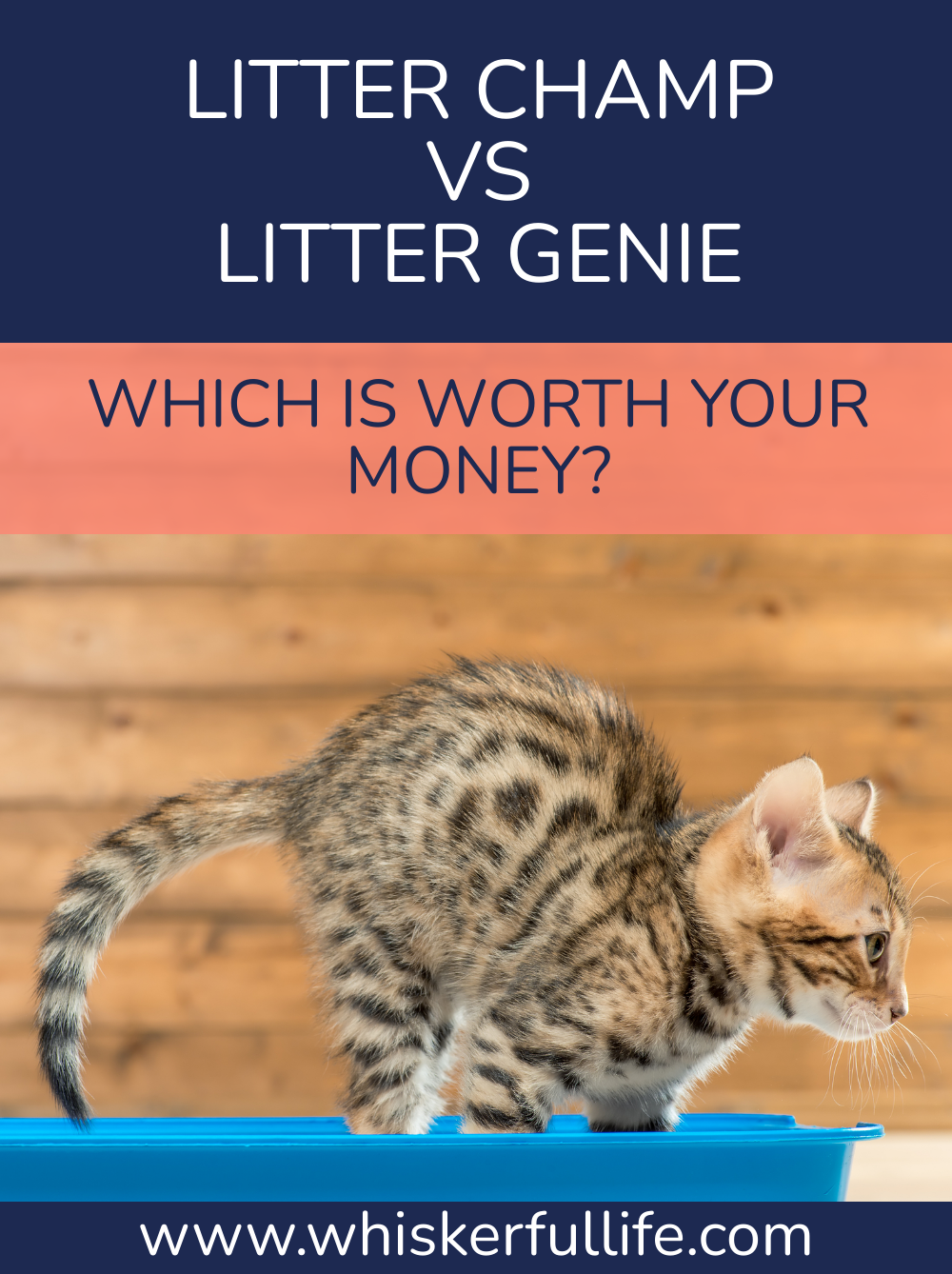 Litter Champ vs Litter Genie (Which is Worth your Money?) Whiskerful Life