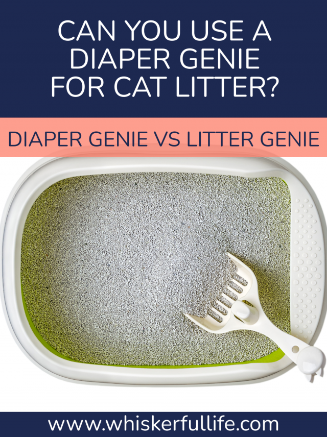 Diaper Genie vs Litter Genie (Can Both be Used for Cat Litter?)