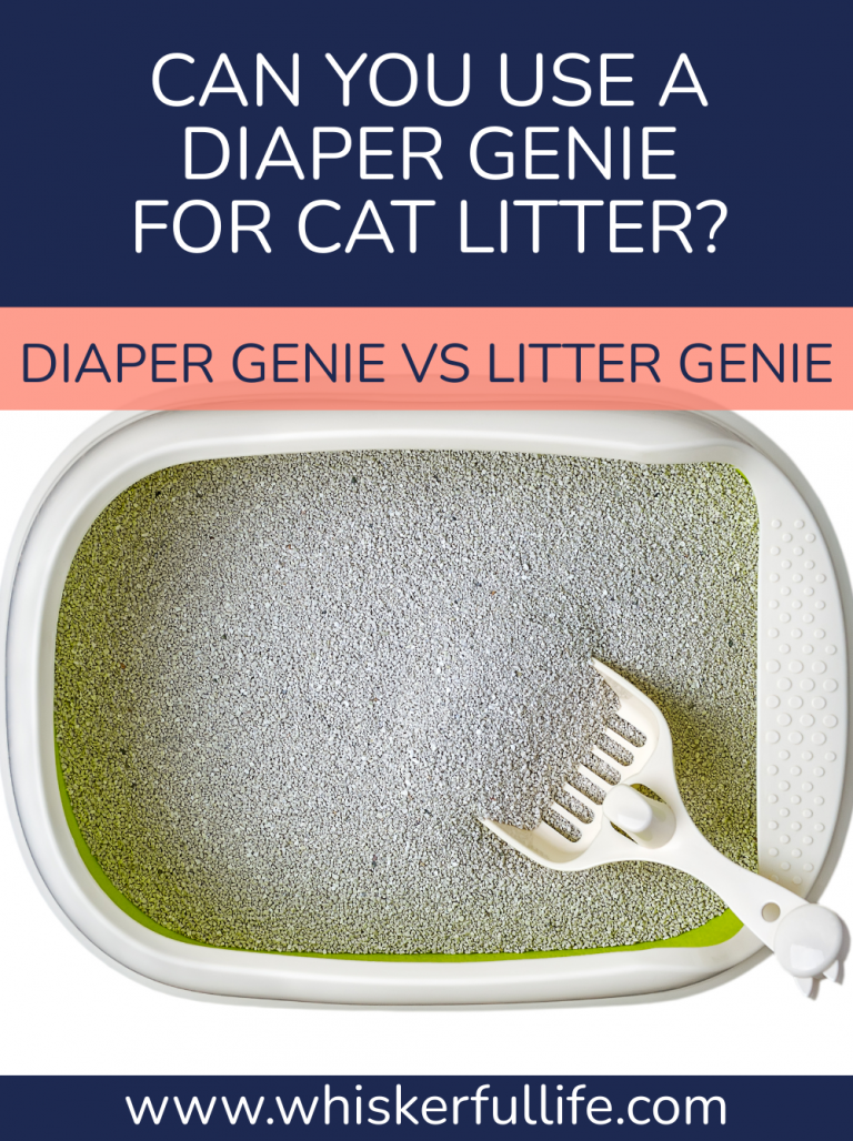 Can You Use a Diaper Genie for Cat Litter? Whiskerful Life