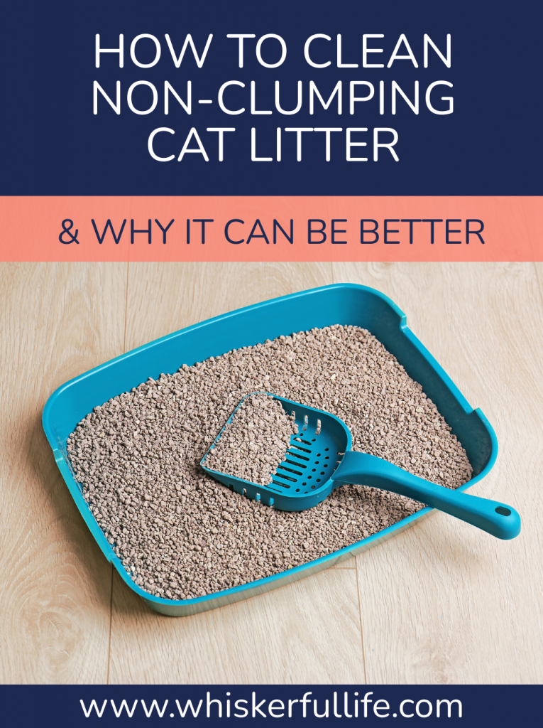 How to Clean NonClumping Cat Litter (is it better?) Whiskerful Life