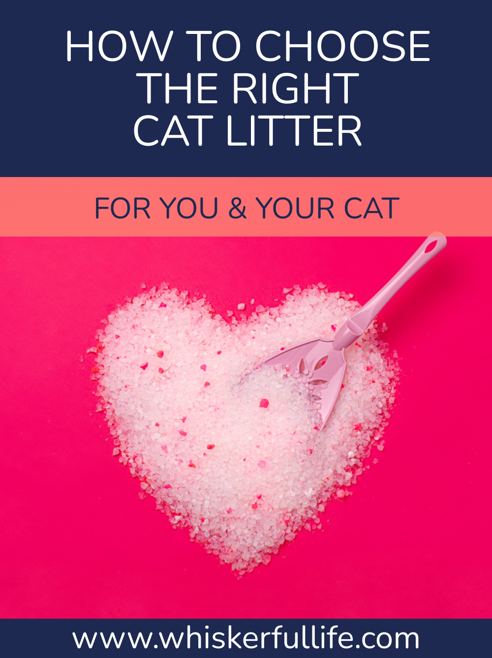 How To Choose The Right Cat Litter (For You & Your Cat)