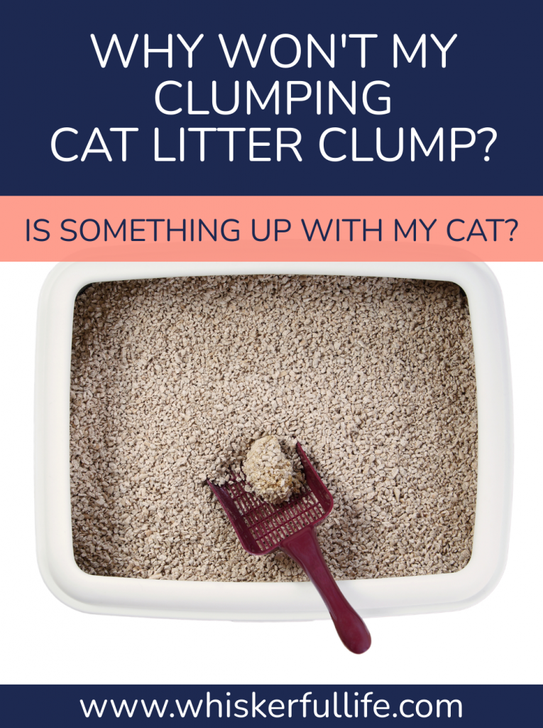 Why Clumping Cat Litter Won’t Clump (for some cats) Whiskerful Life