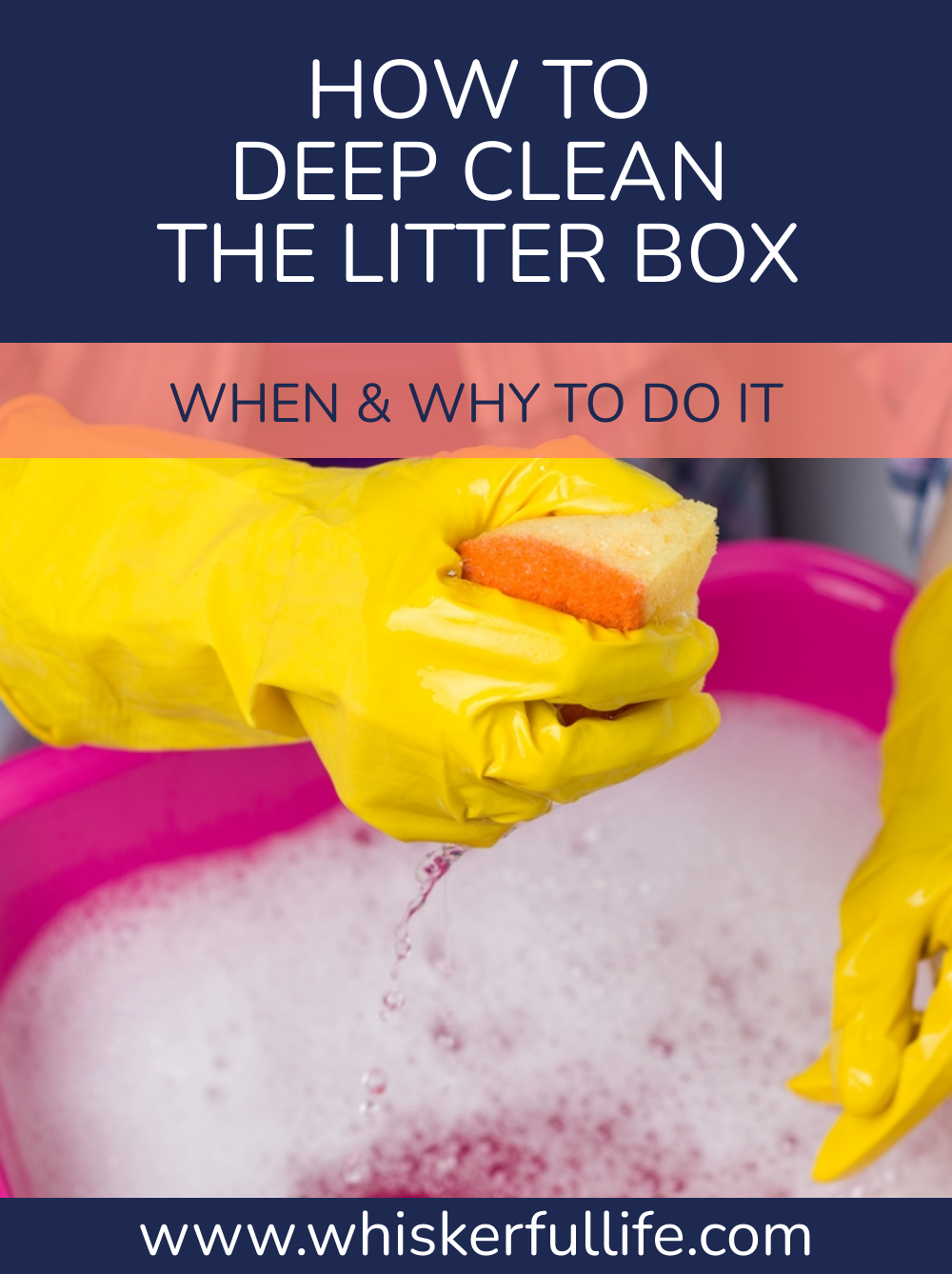 How to Deep Clean a Litter Box (the right way) Whiskerful Life