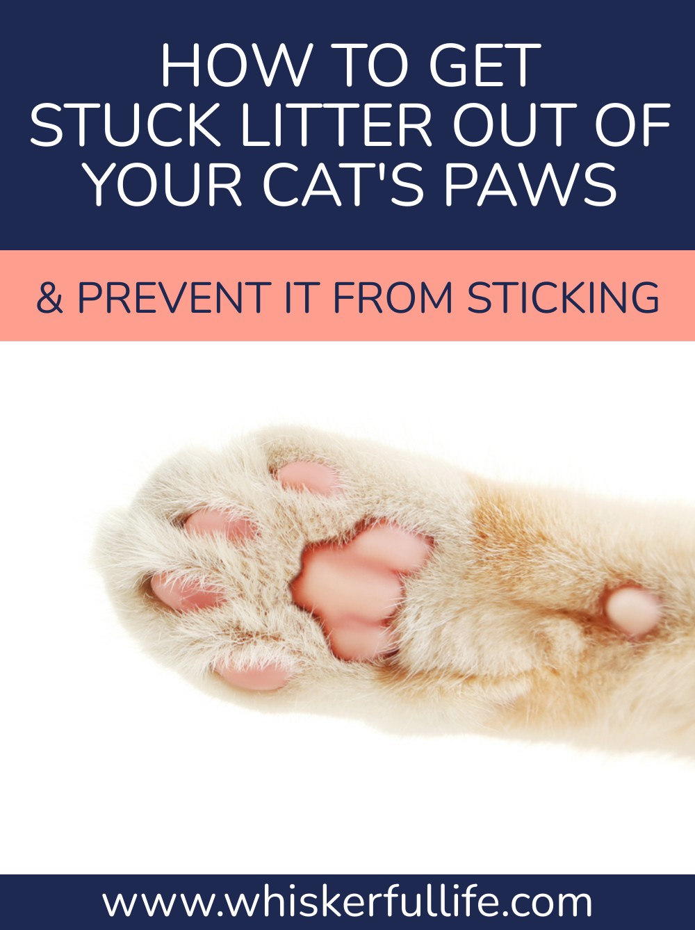 How To Get Stuck Litter Out Of your Cat’s Paws