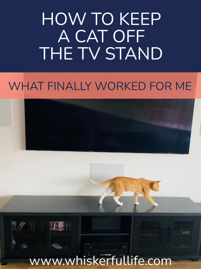 How to Keep a Cat Off a TV Stand (What finally worked for me