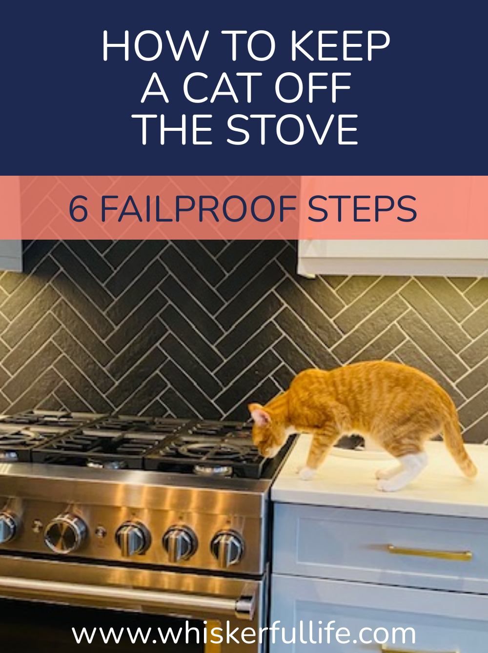 How to Keep a Cat Off the Stove