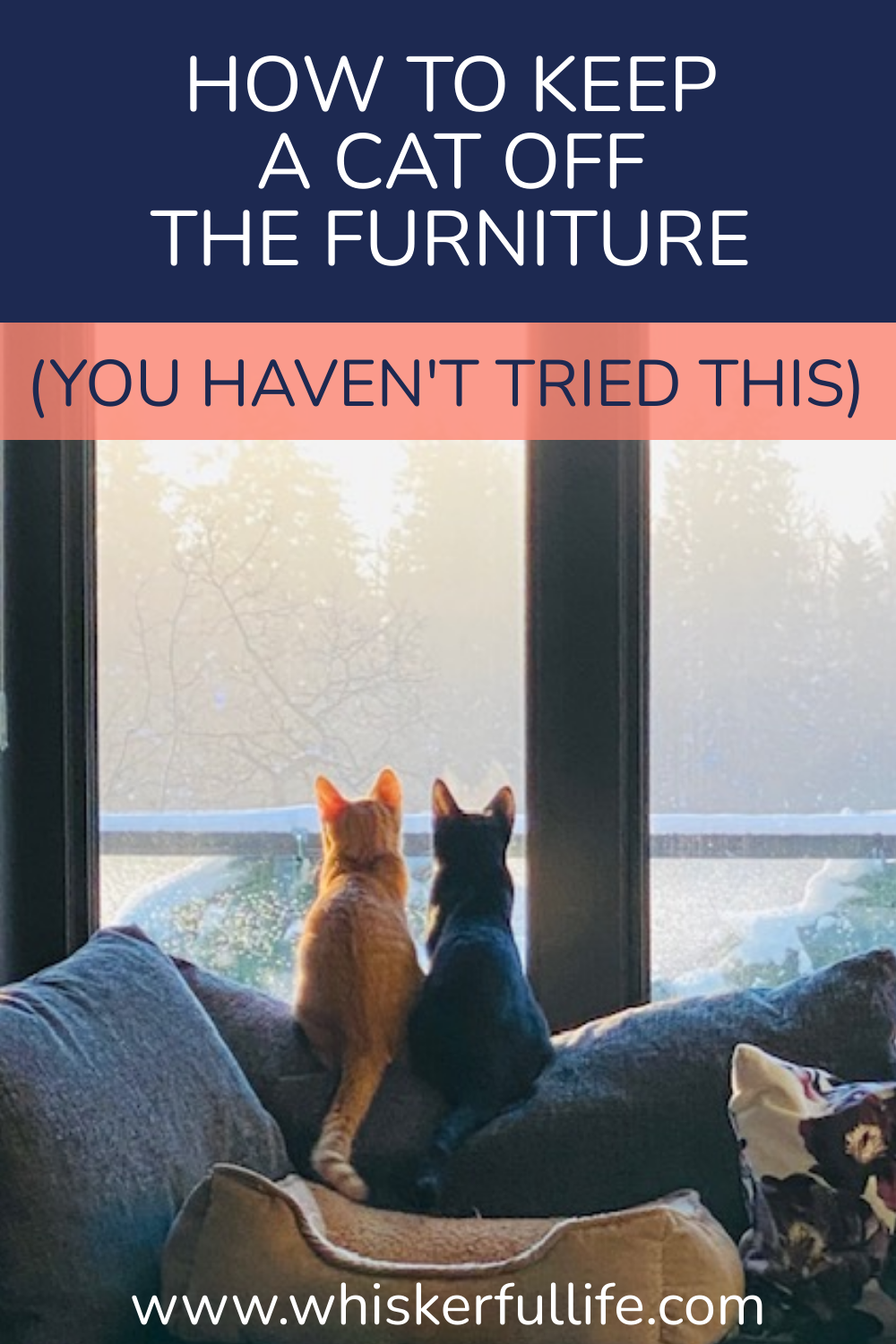 How to Keep a Cat Off the Furniture